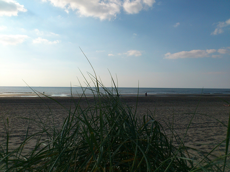 denhelder