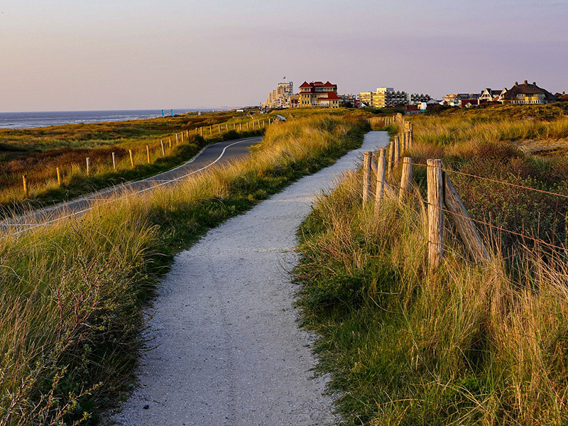 denhelder